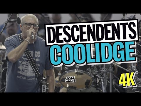 This is the Solo for Coolidge by - the Descendents off of the album All
