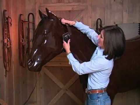 Weaver Leather Miracle Collar