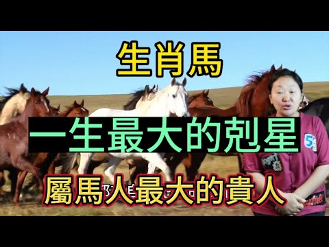 【生肖馬】屬馬人一生最大的剋星是誰？遇到了千萬要躲開！生肖屬馬人最大的貴人又是誰呢？#生肖财运 #2023 #生肖 #愛華