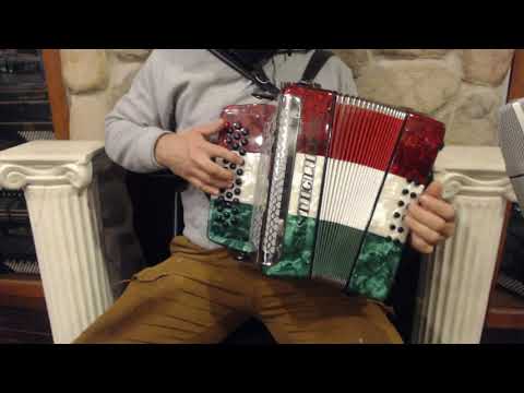 CAST509ETRI - Tri Color Castiglione Diatonic Button Accordion EAD MM 31 12 $799