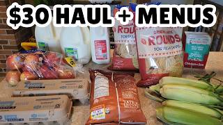 Weekly Budget Grocery Haul & Menus for our Family of 6