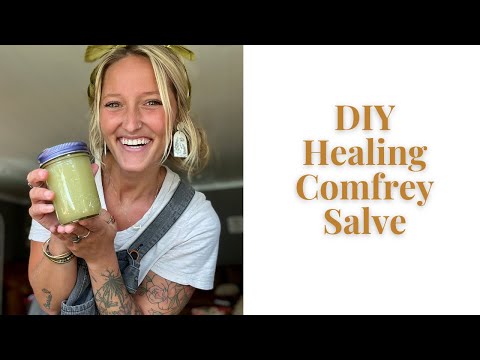 Comfrey Extract Powder