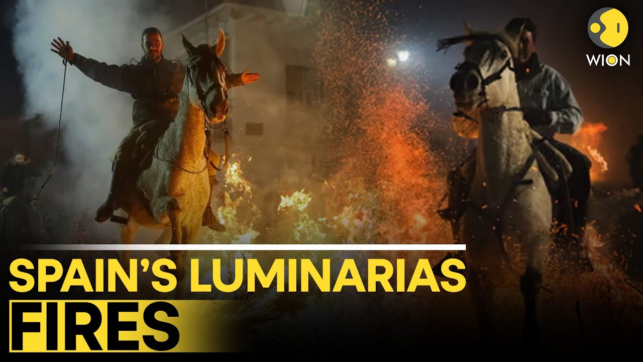 Spain LIVE: Horses Leap Across Purifying Fires During Spain’s Luminarias Festival | WION