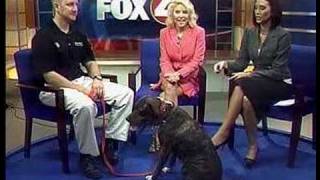 Bark Busters - Patrick Logue - Natural Dog Training Methods