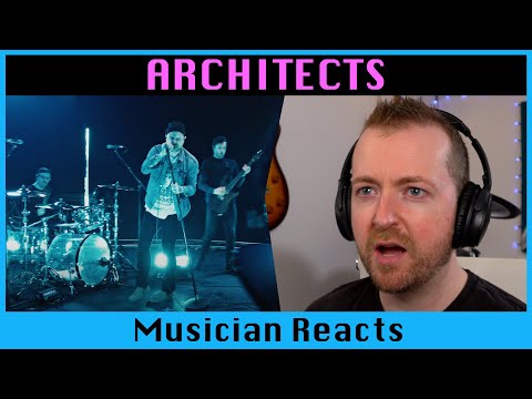 Musician reacts to ARCHITECTS When We Were Young