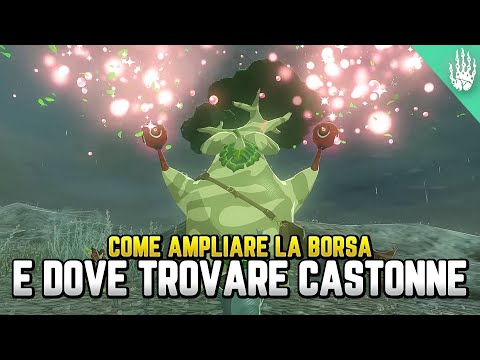 COME AMPLIARE LA BORSA CON CASTONNE, COSTO, RICOMPENSE - Guida Zelda Tears of the Kingdom