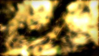 Humus - Forgotten climate aid