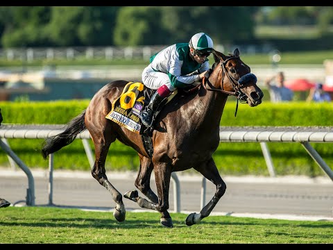 Rodeo Drive Stakes (G2) 2023 - Santa Anita Park
