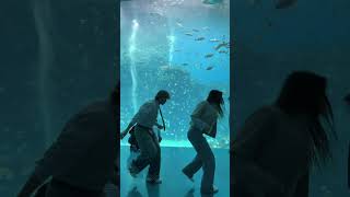 Download lagu Lauren Gibson & Vik White | Anxiety Dance Challenge in Taiwan mp3 Download lagu Lauren Gibson & Vik White | Anxiety Dance Challenge in Taiwan mp3