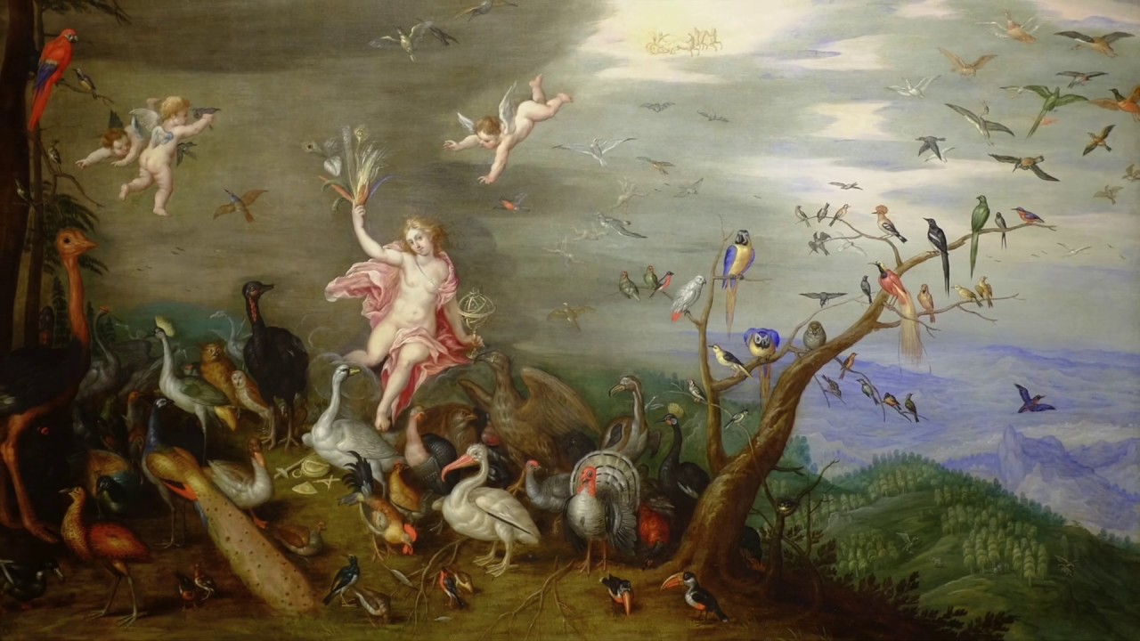 FIA Collection | A Closer Look – 