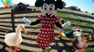 Minnie feeding ducks at a park - 123bumblebee