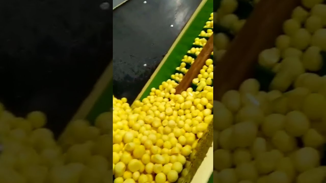 Линия оборудование для мойки, очистки от кожуры, замачивания, сульфатации, сортировки, переборки, фасовки, вакуумной упаковки овощей, картофеля, моркови, лука, свеклы, корнеплодов 