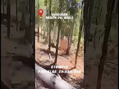 PARCELAS | $9.990.000 | VICHUQUÉN | REGIÓN DEL MAULE | ROL PROPIO | ENTREGA INMEDIATA | DOC. AL DÍA