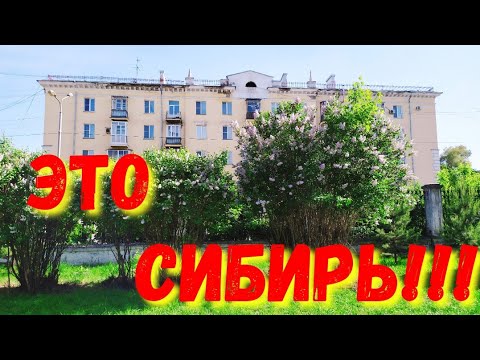 НОВОКУЗНЕЦК 🥵 ЖАРА 🔥 СИРЕНЕВЫЙ РАЙ 😜 ВЕСНА/ЖАРА БЕЗ МОРЯ 🤔