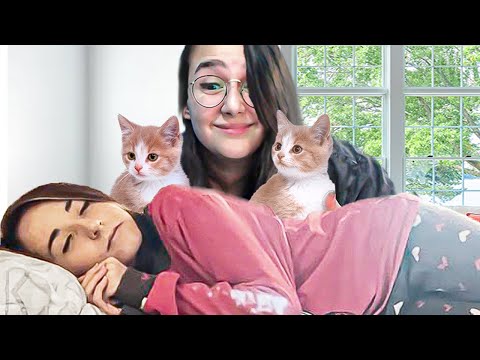 REGALO DUE CUCCIOLI DI GATTO ALLA MIA MIGLIORE AMICA DI NASCOSTO!