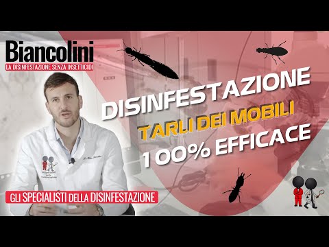 Troychatka per bambini da parassiti Come chiamano parassiti nel pesce
