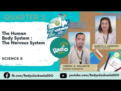 Science 6 | QUARTER 2 | MODULE 2 | LESSON 3 : The Human Body System: The Nervous System