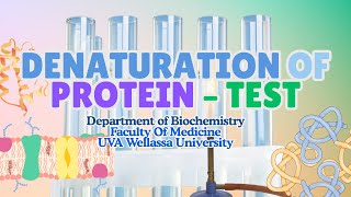 Denaturation of Proteins Step by Step