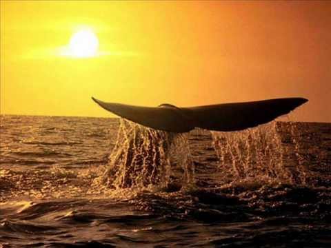Sebastian Brandt - Mana (Original Mix).wmv