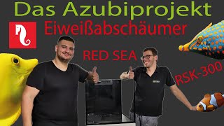 Red Sea / Reefer 200 / Eiweißabschäumer  / Azubiprojekt / WFT