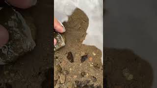 Download lagu Chana Fishing in Nature #fishing #fish #chana mp3 Download lagu Chana Fishing in Nature #fishing #fish #chana mp3