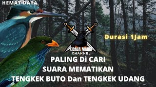Download lagu SUARA MEMATIKAN!! Masteran Tengkek Buto Vs Tengkek Udang || Kicau Mania Channel mp3