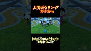 【トモコレわくわく生活】人間ボウリングガチかｗ#Shorts