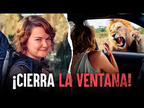 Humano vs. león - Ataques de leones reales captados en el instante exacto