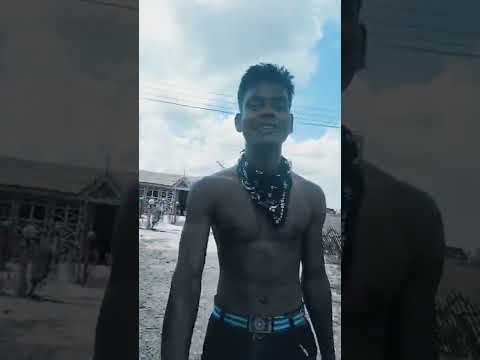 black panda new sang 2022   ketaharu satha ma