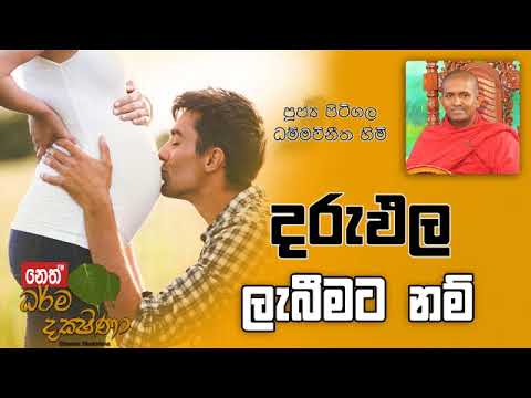 Darma Dakshina 2019.06.05 - Pitigala Dammawinitha Himi