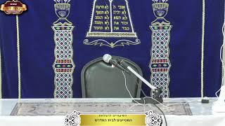 בית המדרש "תורת דוד" ¤ שידור חי ¤ י"ג אב תשפ"ה (7.8.2024) (מוסדות תורת דוד) - התמונה מוצגת ישירות מתוך אתר האינטרנט יוטיוב. זכויות היוצרים בתמונה שייכות ליוצרה. קישור קרדיט למקור התוכן נמצא בתוך דף הסרטון