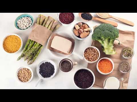 Protein Power  Unlocking the Benefits!