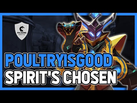 PoultryIsGood Maldamba Competitive (Diamond) SPIRIT'S CHOSEN