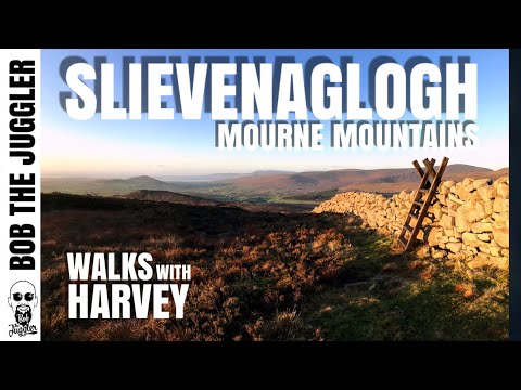 Walks with Harvey - Slievenaglgogh, Mourne Mountains