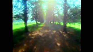 Ash Ra Tempel - Oasis