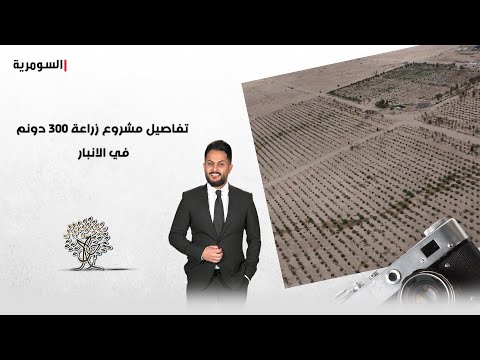 فيديو | تفاصيل مشروع زراعة 300 دونم في الانبار