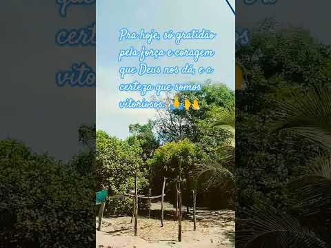 Gratidão # fe Deus no controle 🙏🙏🙌❤❤❤😍