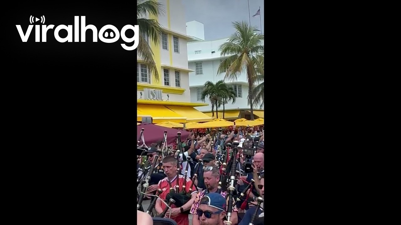 Tartan parade in Miami || ViralHog