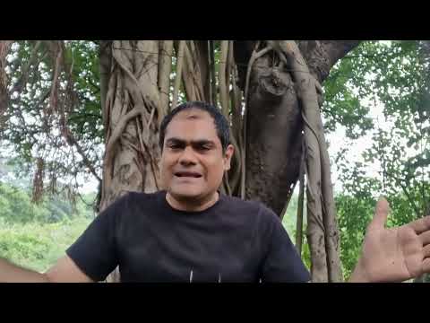 Vocab in the Great Outdoors - Introduction