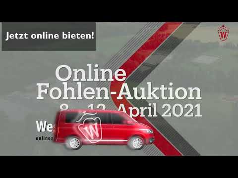Fohlen-Auktion "Westfalen on Tour" 8.-12. April