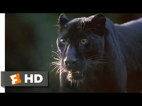 Assassination Tango (5/9) Movie CLIP - Symbol of Elegance (2002) HD