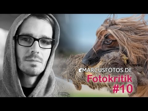 FOTOKRITIK #10 Männer Portraits, Windhunde und Herbsttöne