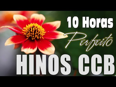 Hinos CCB 2023 - Os Hinos Mais Bonitos Louvando O Senhor Glorioso - Hinos Ccb Cantados Louvor 2023