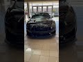 Ford Mustang Dark Horse