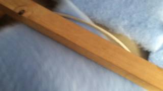 Why it is hard to get any batts installed underneath the electrical wires 2016-09-06 10.28.50