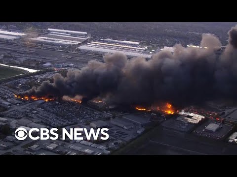 Video shows massive fire from UPS plane crash in Louisville, Kentucky