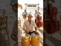 Best of Mambo No. 5 – Pérez Prado Greatest Hits Collection