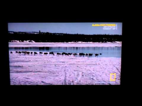 Battlefield 1942 soundtrack on Alaska State Troopers