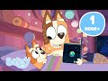 LIVE Kind Lessons With Mum And Nana Wholesome Bluey Moments Bluey