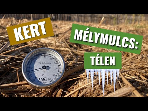 Mélymulcs - Télen